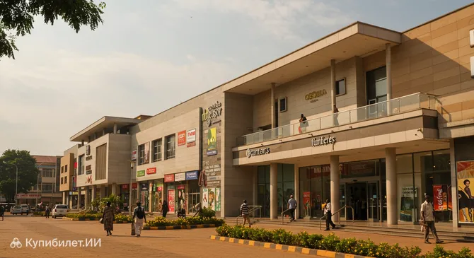 Акация Молл