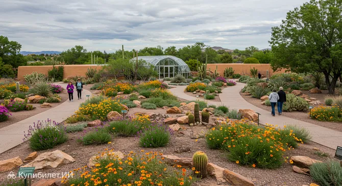 Ботанический сад Альбукерке