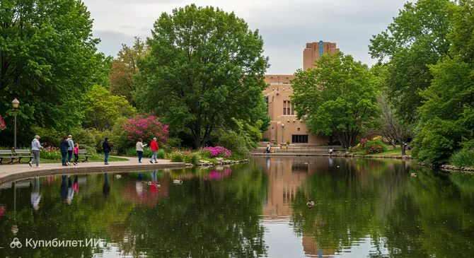 Пруд с утками Университета Нью-Мексико