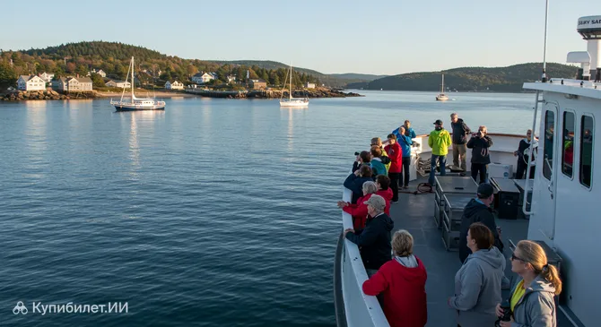 Наблюдение за китами в Бар-Харборе