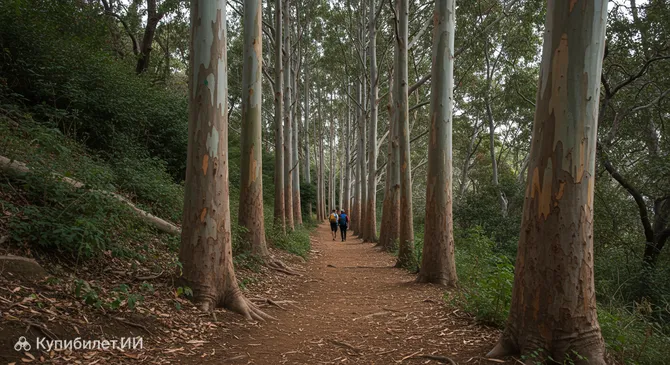 Парк Франклин-Каньон