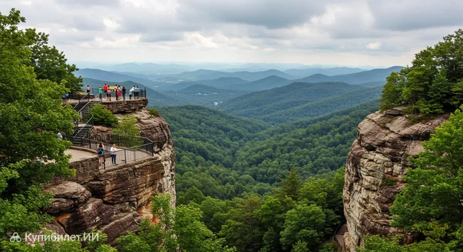 Сады Рок-Сити
