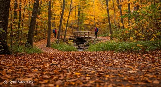 Эсбери-Вудс