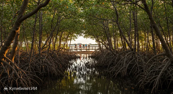 Экологический заповедник Фоур-Майл-Коув