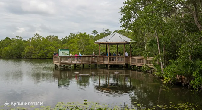 Парк ламантинов