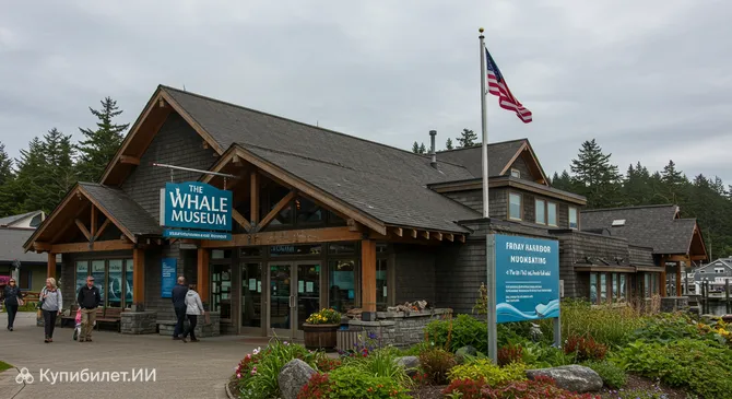 Музей китов