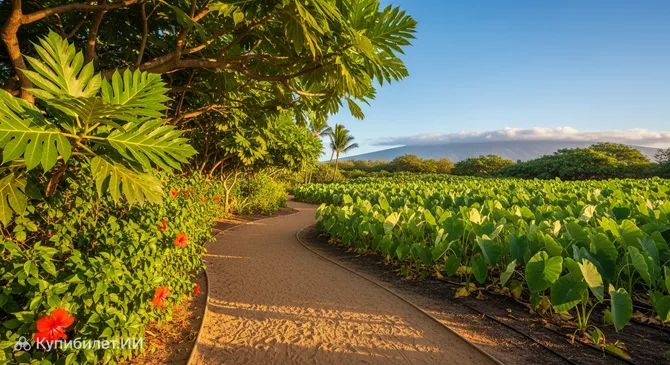 Ботанический сад Мауи Нуи