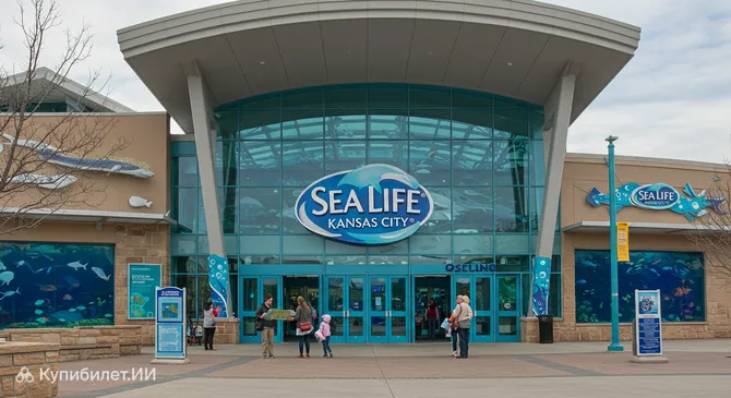 Аквариум SEA LIFE Канзас-Сити