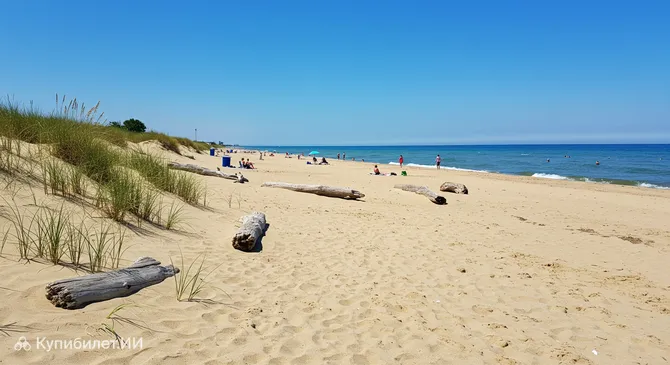 Пляж на Пятой авеню