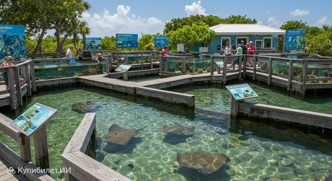 Флорида-Кис Аквариум Энкаунтерс