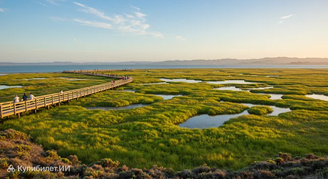 Парк Бейлендс