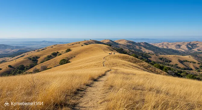 Заповедник Сьерра-Виста