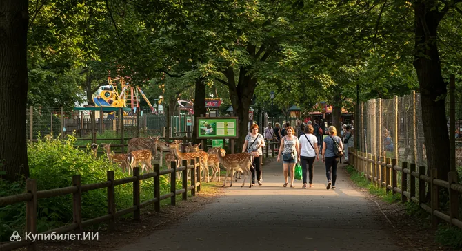 Парк оленей Лагун