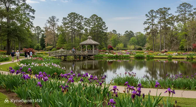 Сад ирисов и озеро лебедей