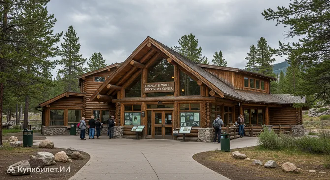 Центр изучения медведей и волков