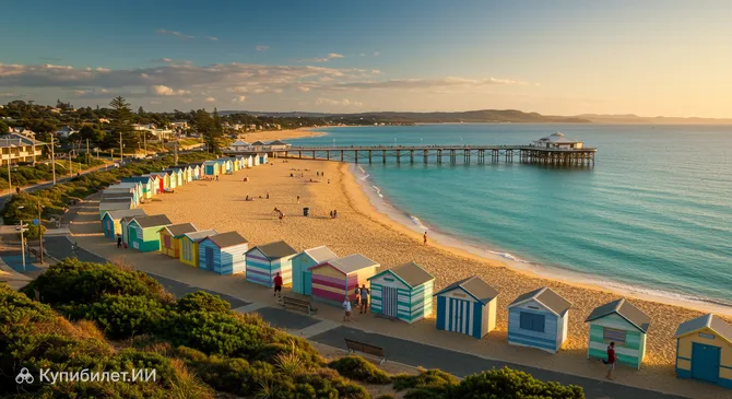 Морнингтон