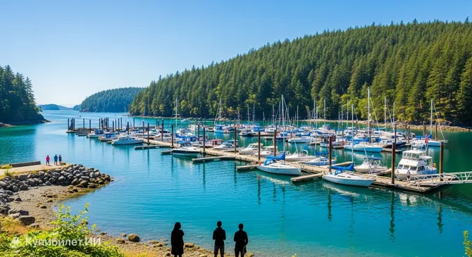 Телеграф Харбор