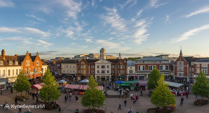 Базингсток