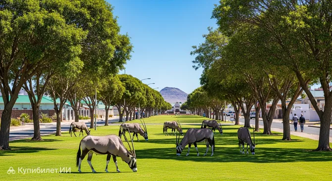 Ораньемунд